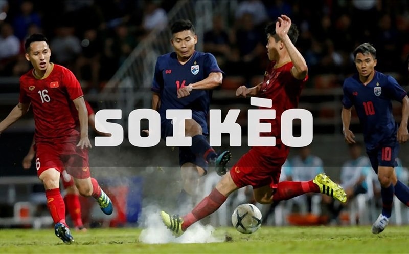 Khi soi kèo cần tổng hợp, phân tích dữ liệu đầy đủ mọi khía cạnh